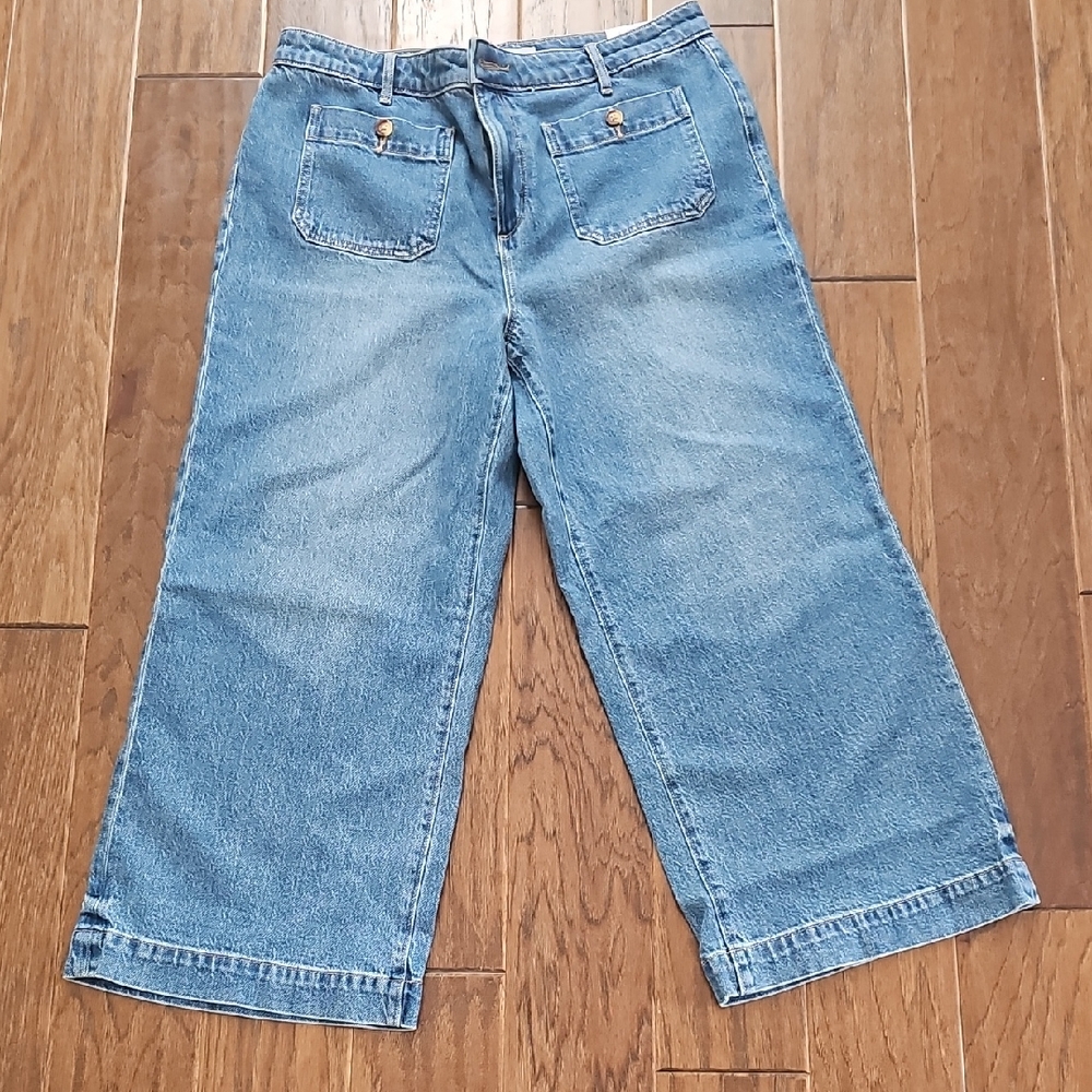 NWT LOFT Light Blue Flare Jeans